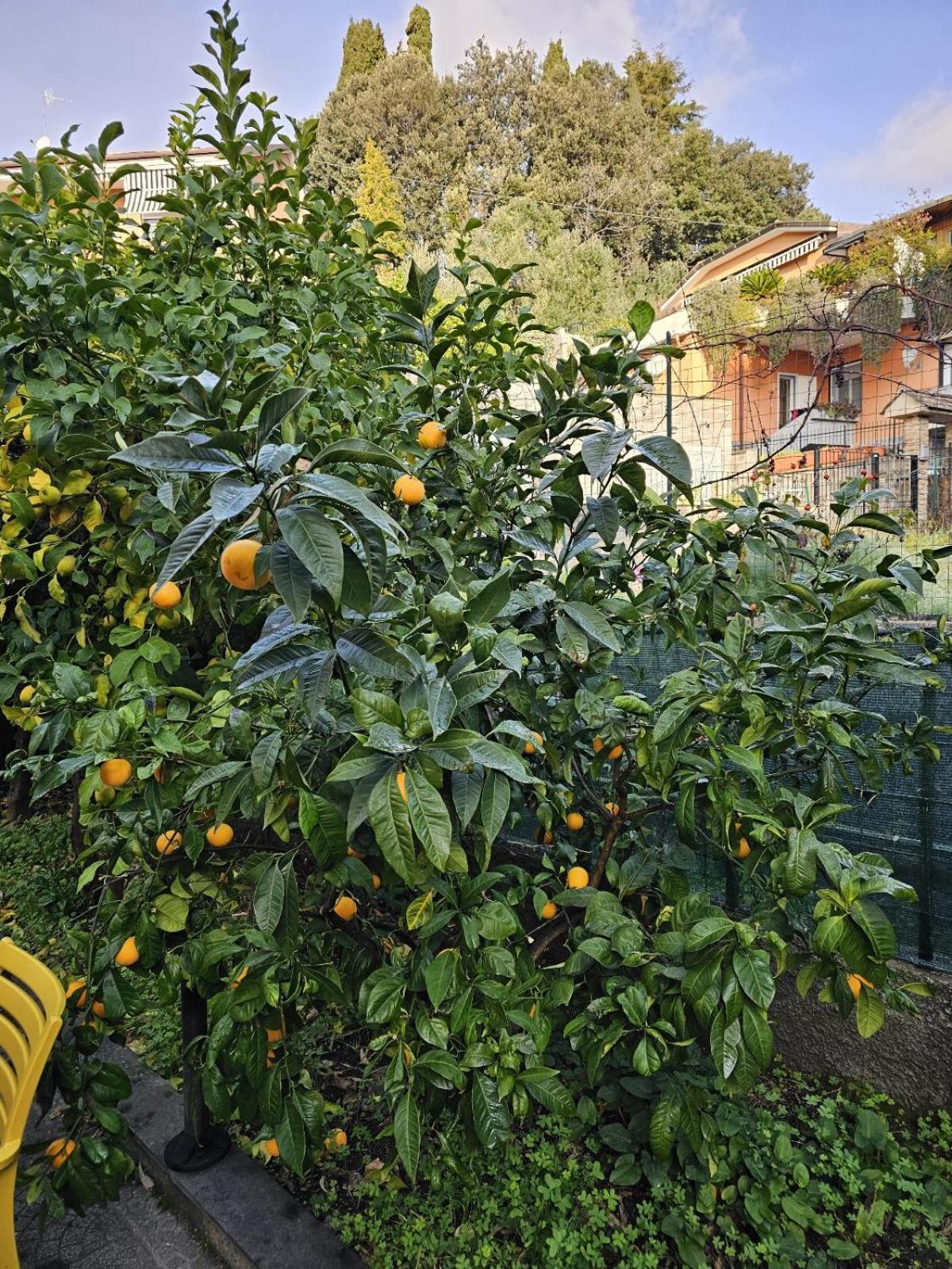 Marty&Olly Luxury Garden Apt Monterosso al Mare Esterno foto